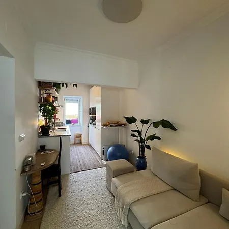 Cosy Campo De Ourique Apartment